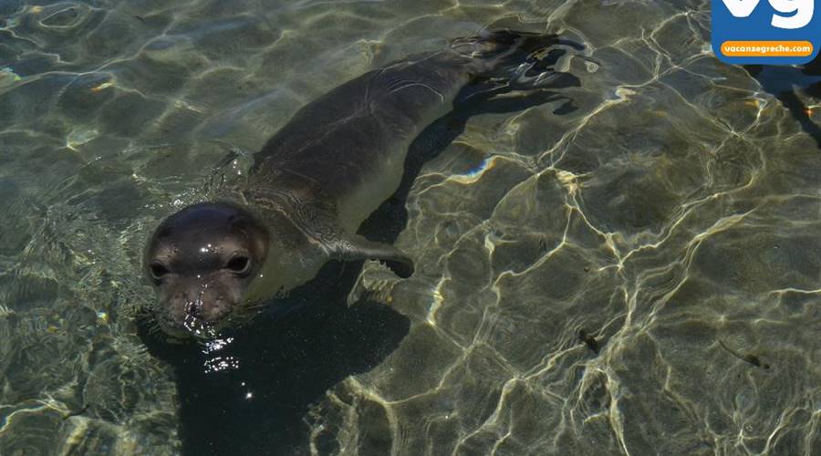 Spiaggia di Manganari Ios