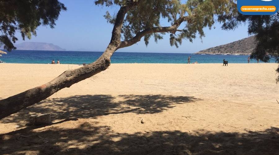 Spiaggia di Agia Theodoti Ios