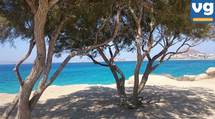 Spiaggia di Maragas Naxos