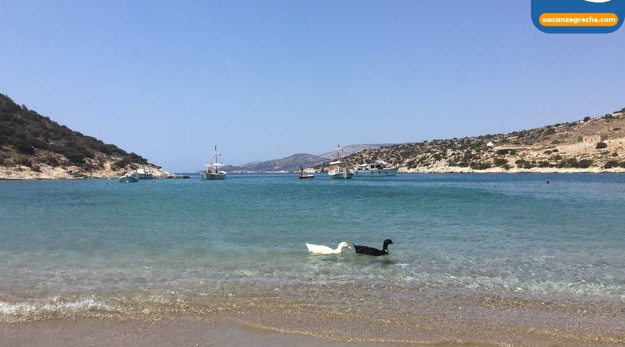 Spiaggia di Panormos Naxos