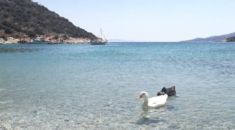 Spiaggia di Panormos Naxos