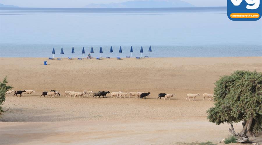 Spiaggia di Pirgaki Naxos