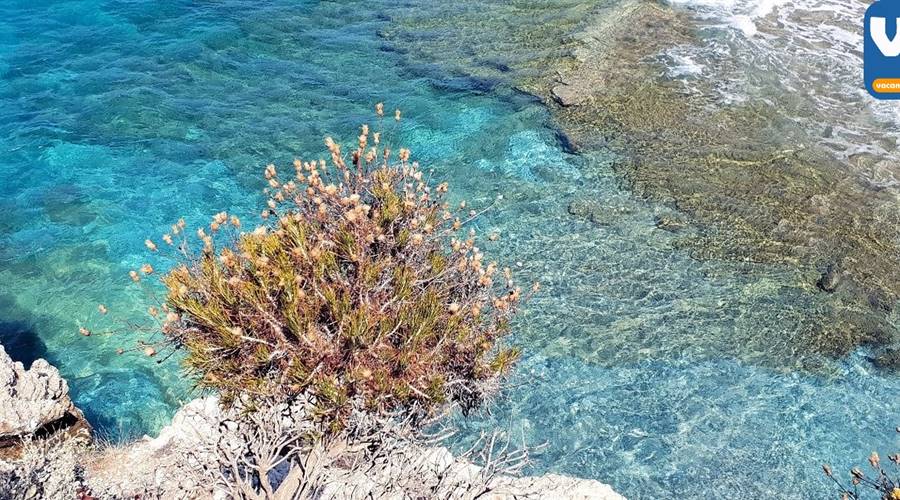 Spiaggia Mikro Seitani Karlovasi Samos
