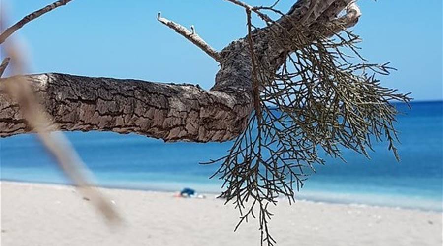 Spiaggia di Agia Kiriaki Milos