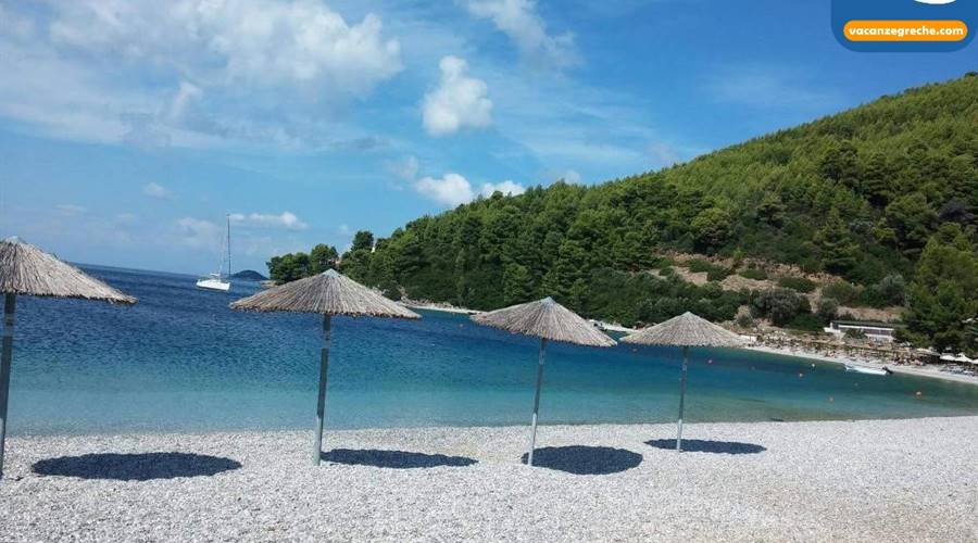 Spiaggia di Panormos Skopelos