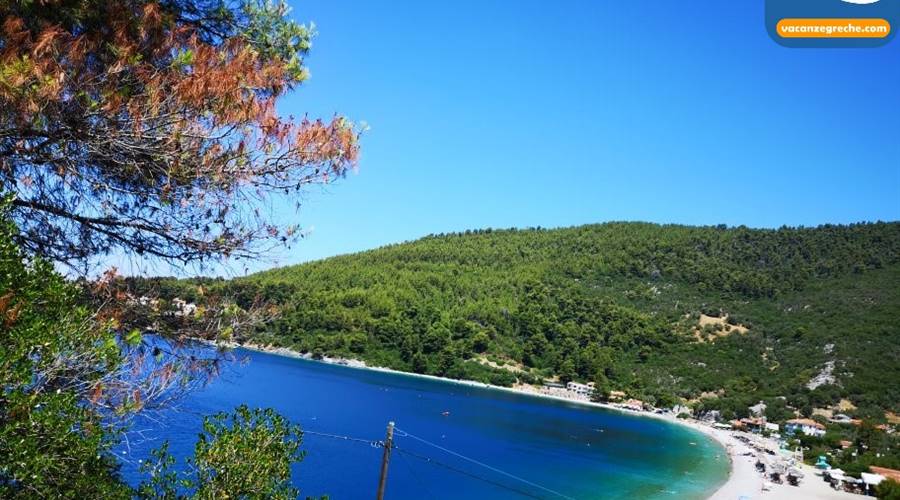 Spiaggia di Panormos Skopelos