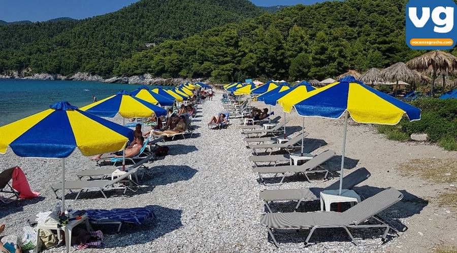 Spiaggia di Milia Skopelos