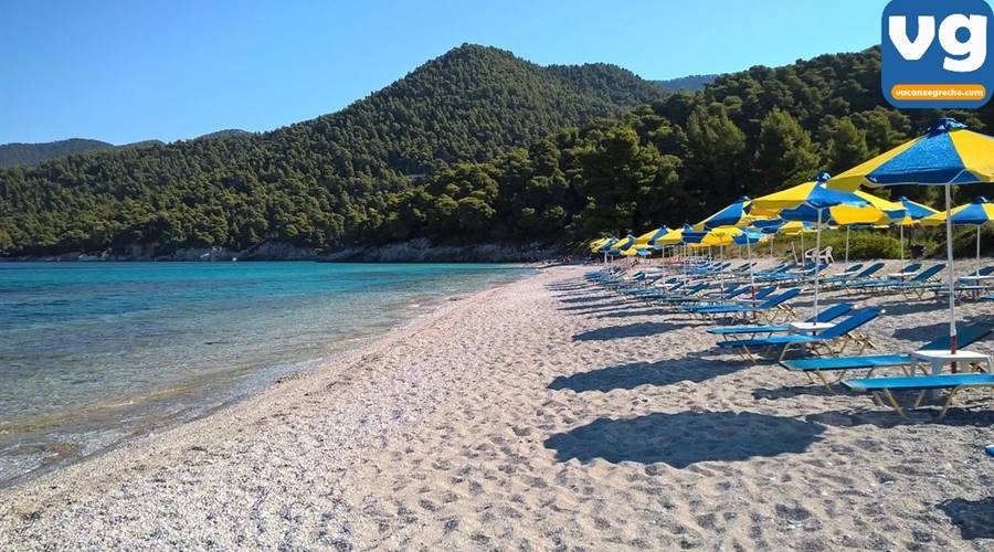 Spiaggia di Milia Skopelos