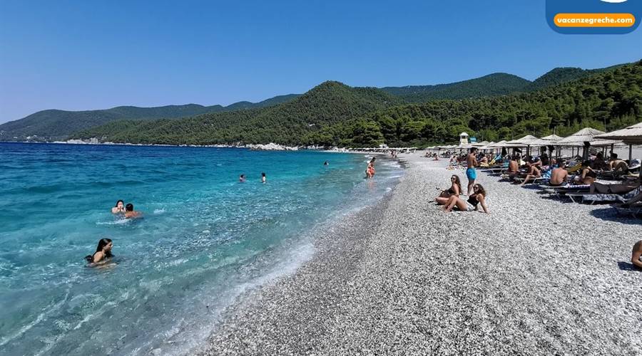 Spiaggia di Milia Skopelos