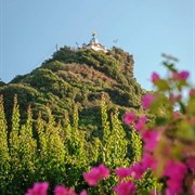Erato Seaside Hotel Samos