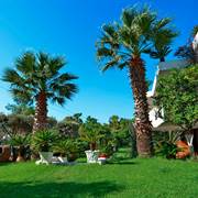 Villa Chara Skiathos