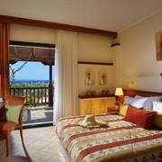 Blue Dolphin Hotel Calcidica