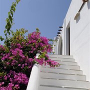 Marili Apartments Studios Paros