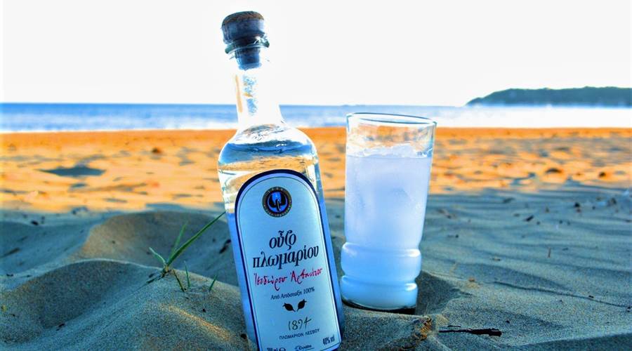 ouzo-liquore