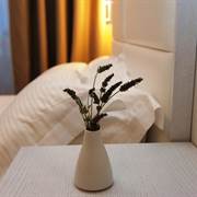 Aphrodite Hotel & Suite Samos