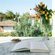 La Mer Apartments Penisola Calcidica