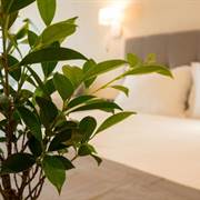 Costa Domus Blue Luxury Apartments