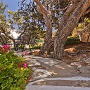 CHC Sound of the Sea