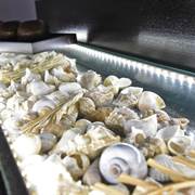 Aegean Wave - Faros Skopelos