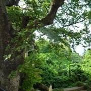 Marinos Studios Cefalonia